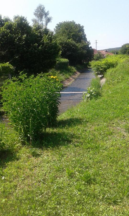 Riverside Apartman**** Miskolc Exterior foto